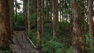 glamping cerca a bogotá tierra cálida
